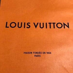 Louis Vuitton gift bag size 9.5” by 14”.